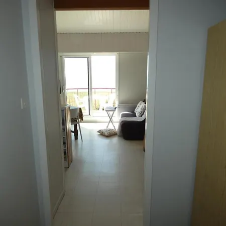 Appartement Dame De Monts - 2 Pers, 26 M2, 2/1 - Fr-1-540-324 *